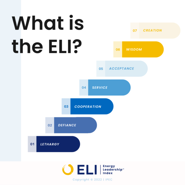 Take ELI Assessment - Image 3